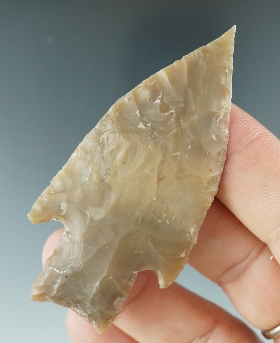 2 3/4" Bulverde made from Edwards Flint, found in Edwards Co., Texas. Arnold COA.