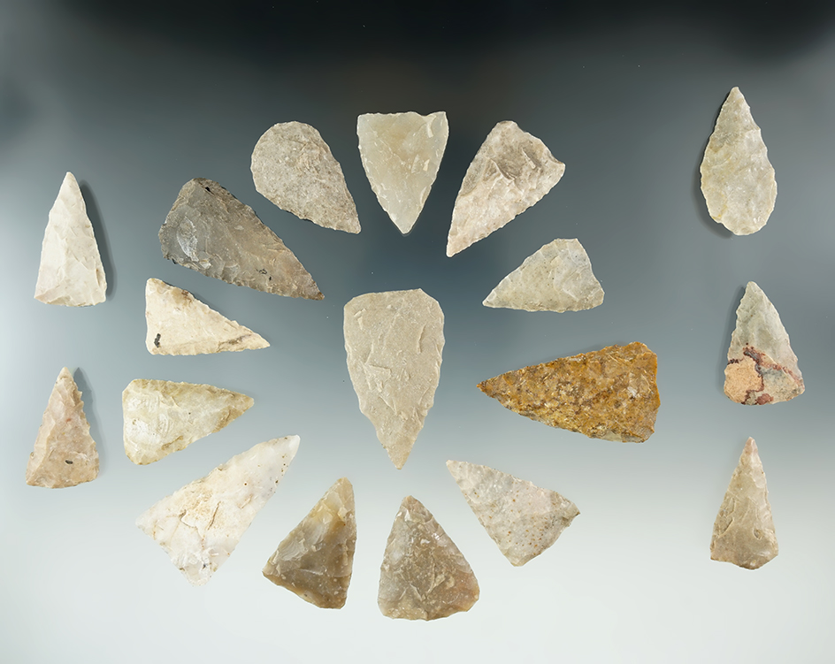 Group of 18 Texas Points found by  Randall Sunderland in Del Rio, Texas.