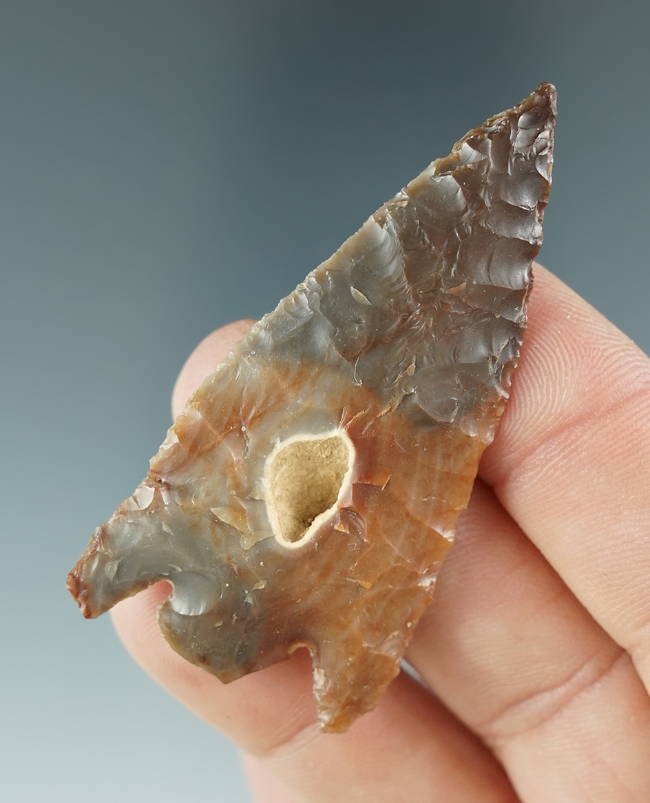 Beautiful color on this 2 3/16" Quilomene Bar found near the Columbia River in the 1950's.