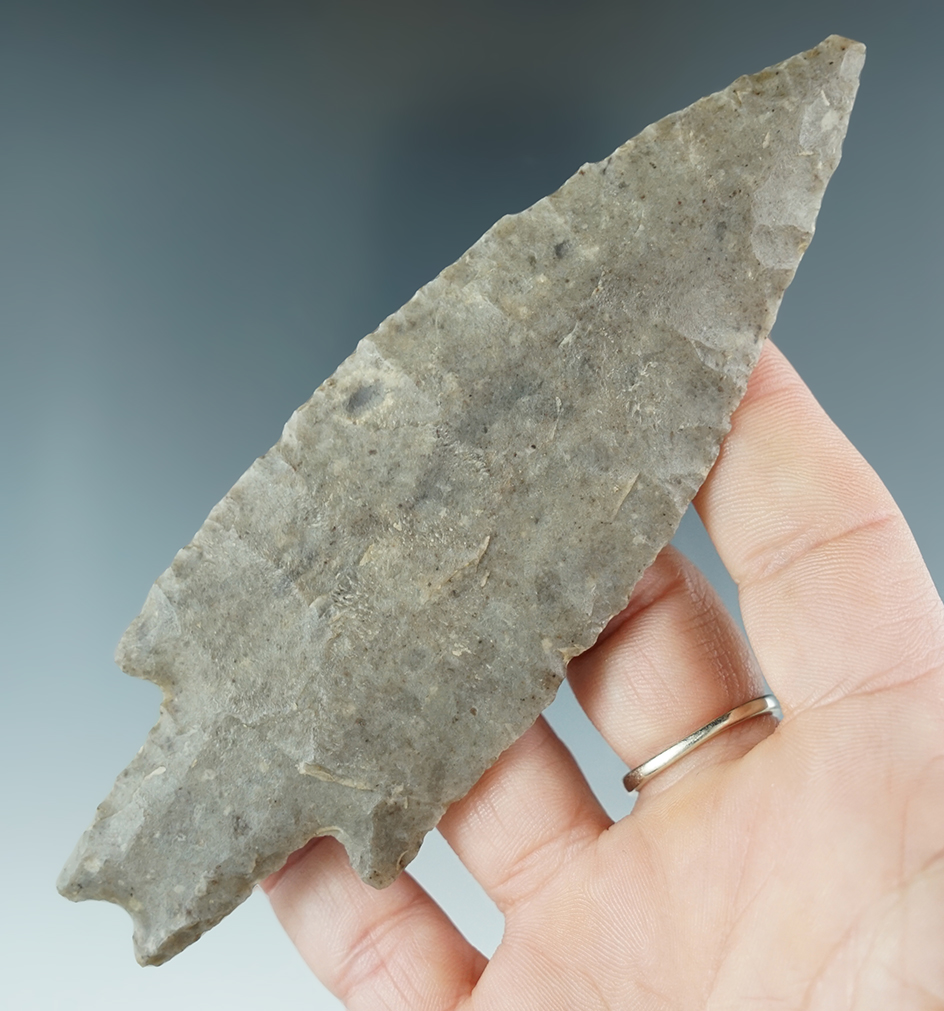 5" Pedernales found near the San Jacinto River in Southeast Texas. Comes with a Rogers COA.