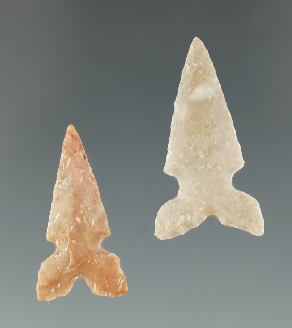 Two Texas Points, largest is 1", found by Randall Sunderland in Del Rio, Texas.