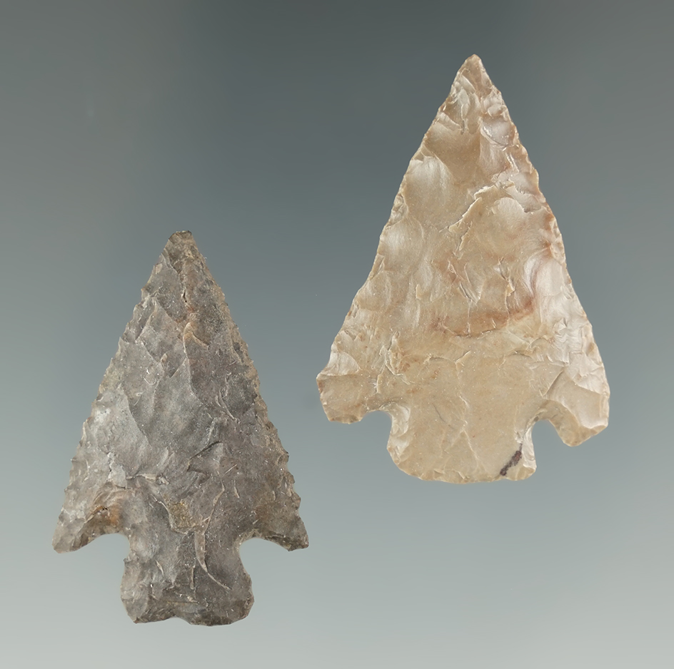 Pair of snake River dart points found near the Columbia River that are well 1 1/2".