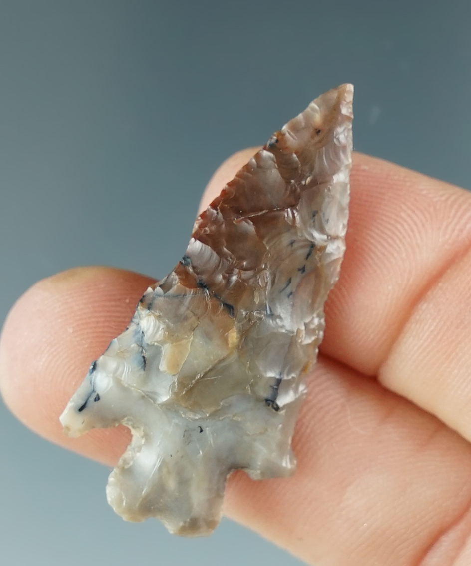 1 9/16" Columbia Plateau split stem found near the Columbia River.