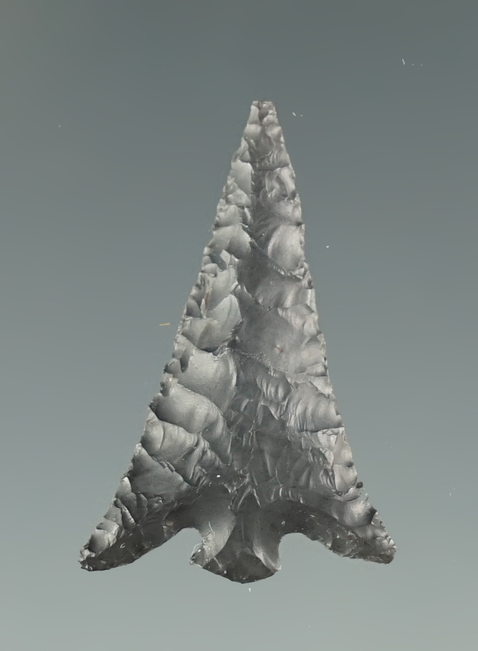 Nice style on this 1" Columbia Plateau.