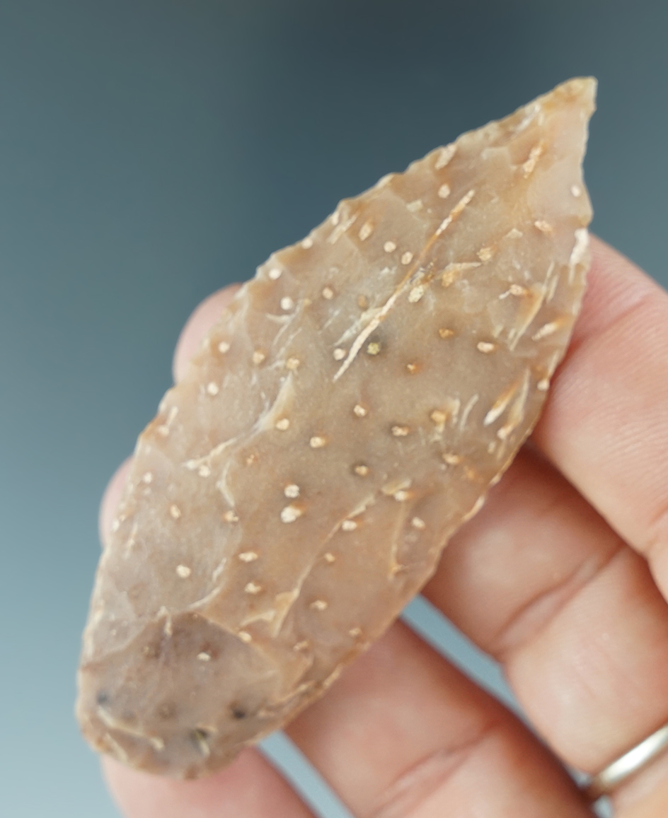 2 13/16" Zella made from Petrified Palmwood. Found in Wilson Co., Texas. Rogers COA.