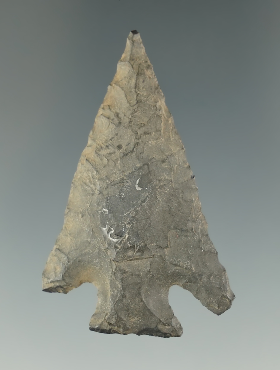 1 13/16" Snake River Dart Point that is heavily patinated, found near the Columbia River.