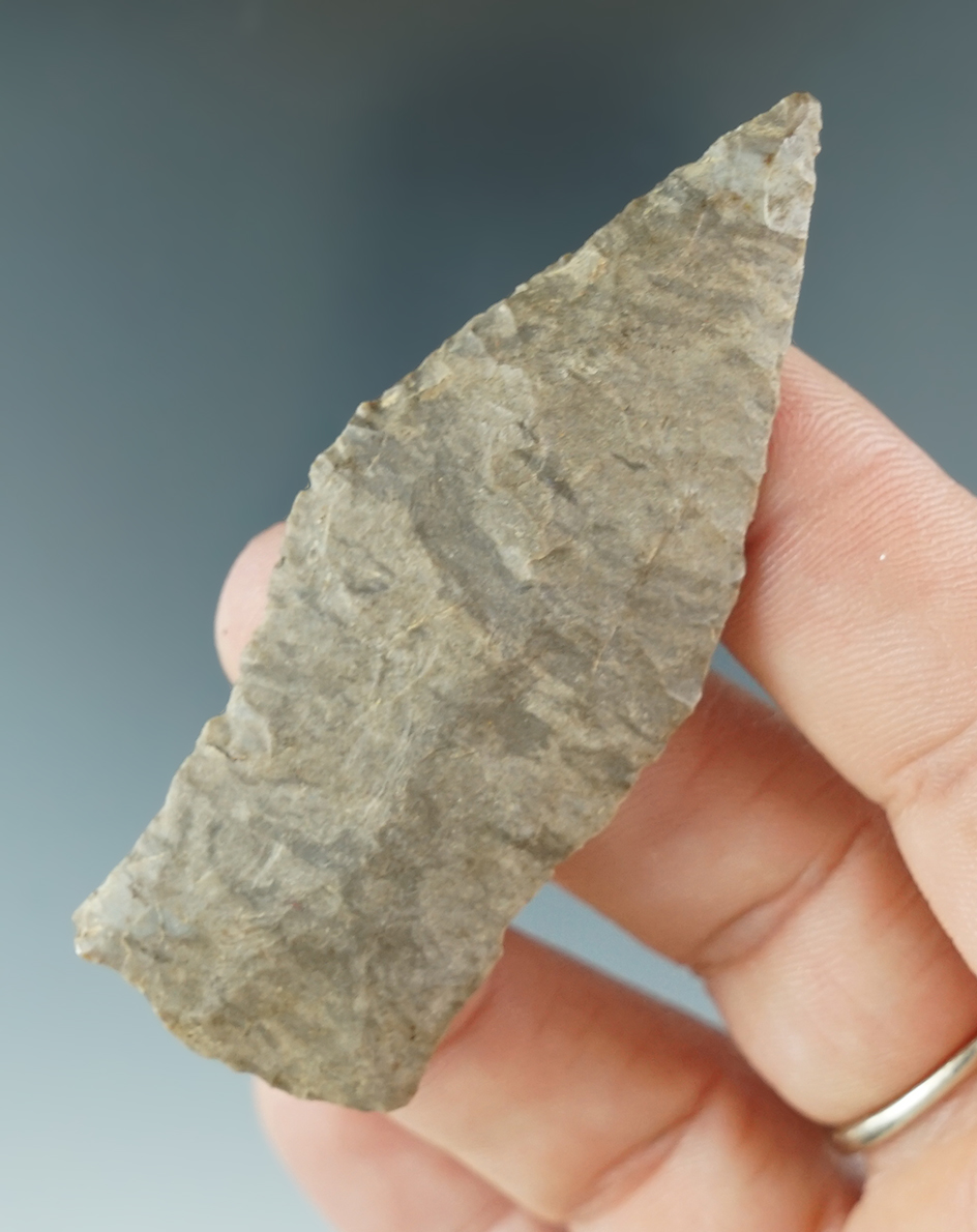 2 3/4" Dover Chert Copena found by April Tribus in Trigg Co., Kentucky. Jackson COA.