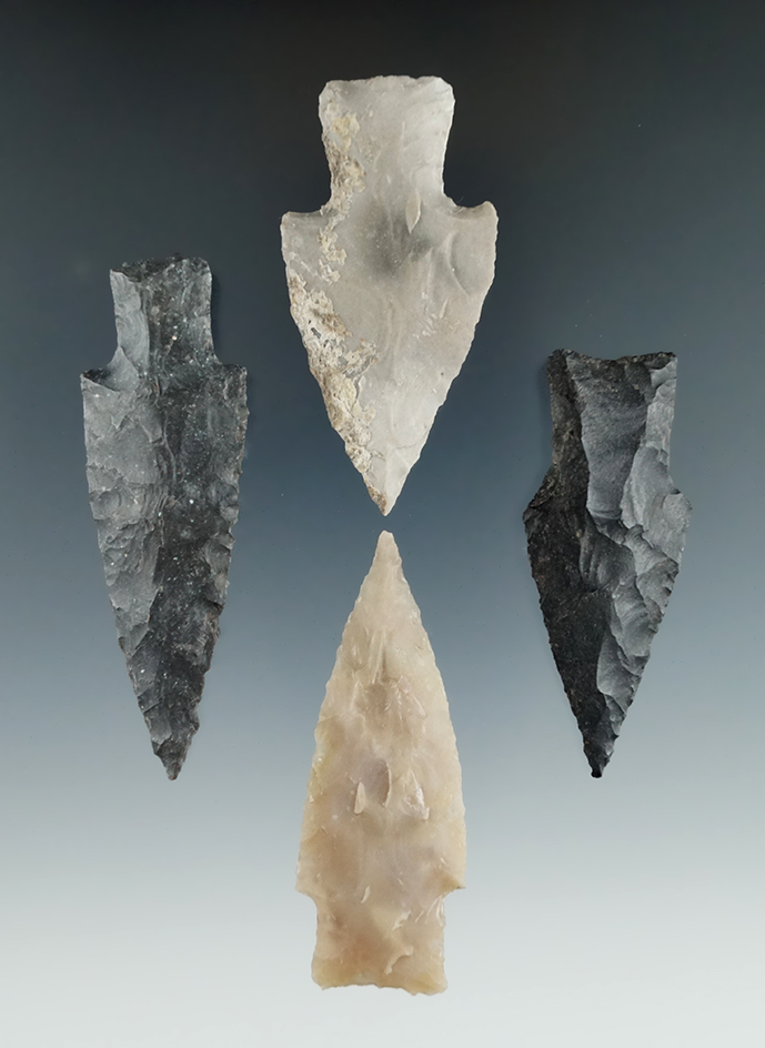 Ex. Museum! Set of four Bulverde points found in Texas in very nice condition, largest is 2 13/16".