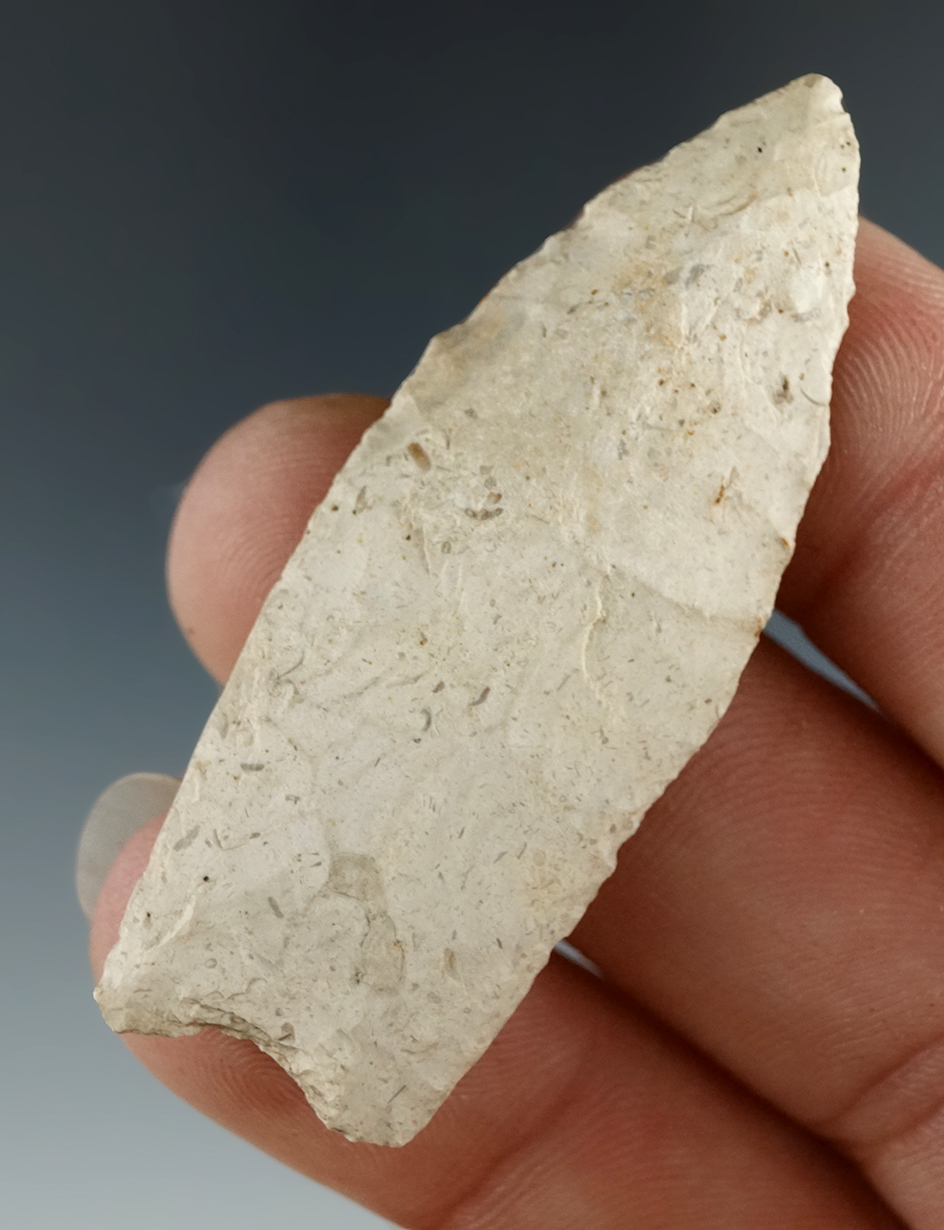 2 1/16" Paleo with nicely ground lower edges found in Cooper Co., Missouri by Bill Bodine.