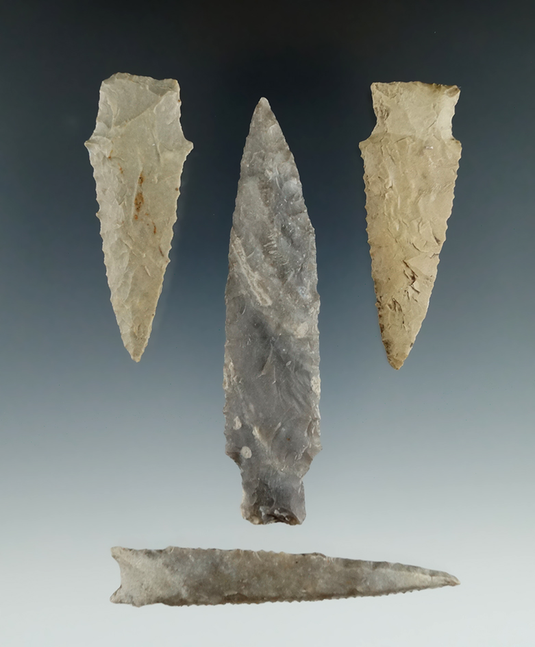 Ex. Museum! Set of four Darl points found in Texas, largest is 3 1/2".