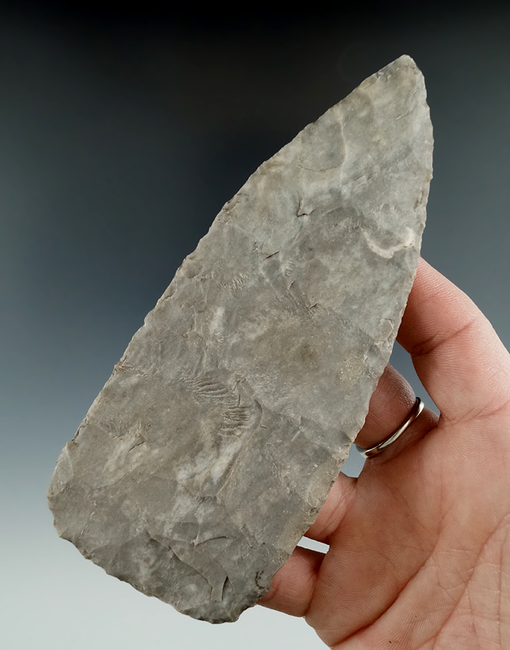 Ex. Museum! 5 1/4" Covington Blade found in Texas.