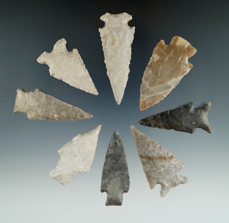 Ex. Museum! Set of 8 nice assorted points found in Texas, largest is 2 1/2".