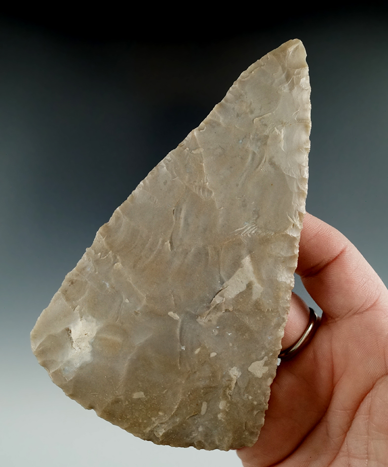 Ex. Museum! Excellent size, flaking and material quality on this large 5 1/8" Covington Blade - Texa