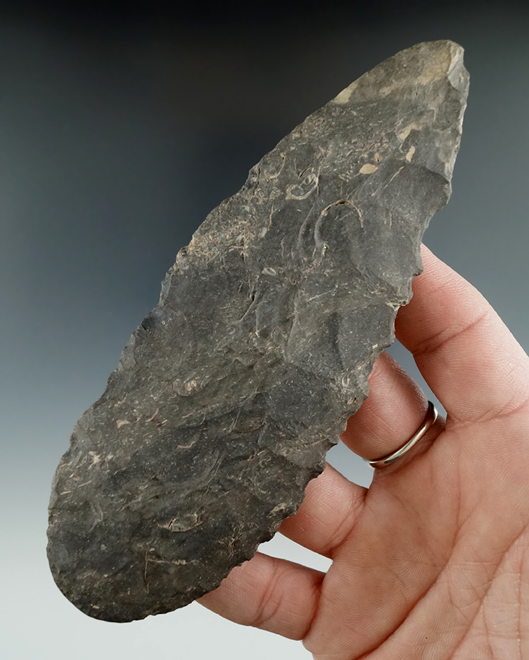 Large 5 5/16" Flint Blade with some ancient grinding to the bottom of the base found in Missouri.