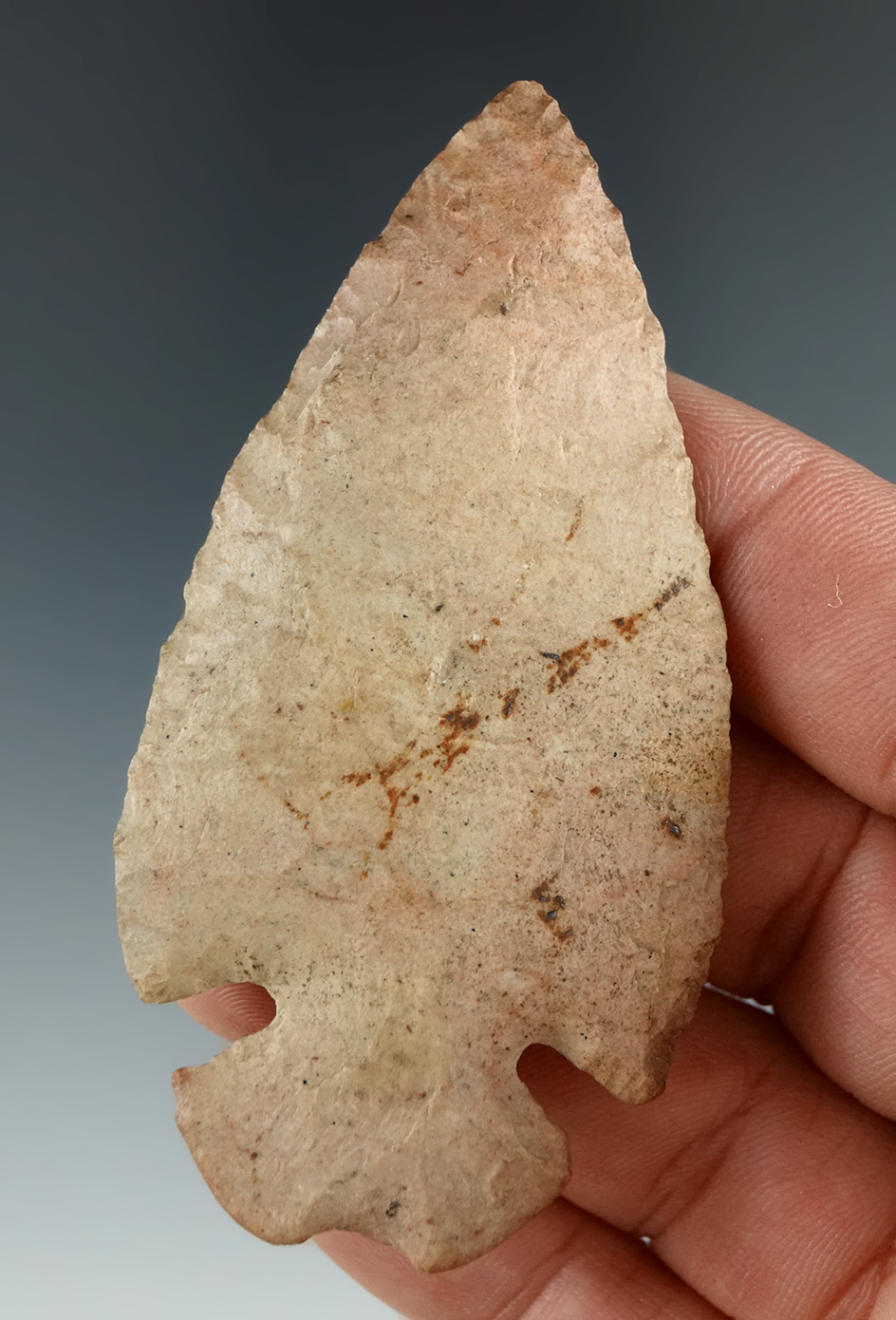 2 7/8" Notched Base Dovetail found in Bond Co., Illinois in very nice condition.