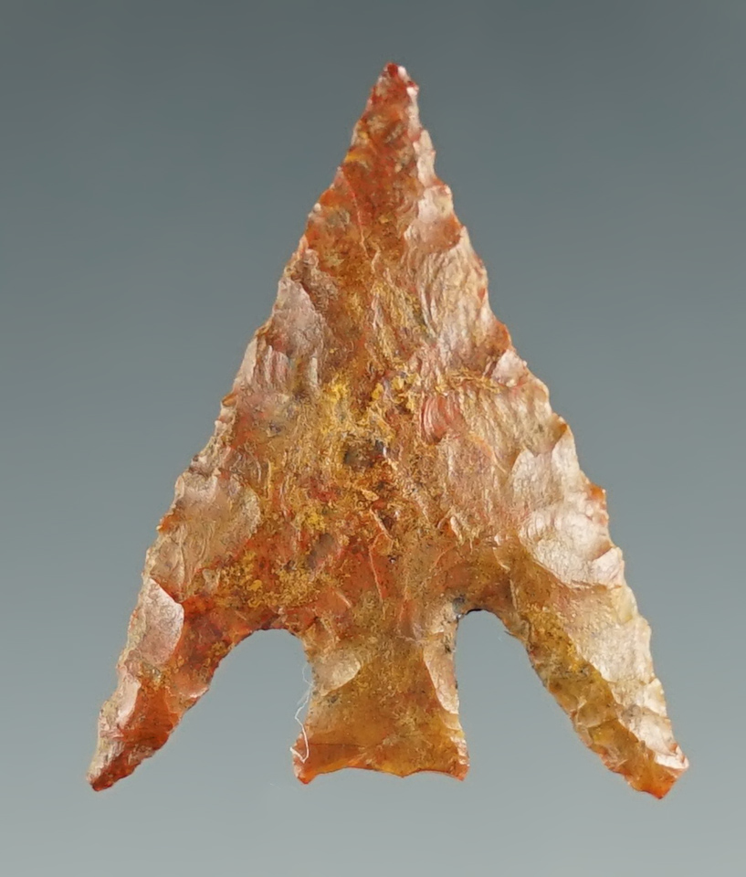 1 1/16" beautifully styled Gunther found near Klamath Lake, Oregon.  Perino COA.