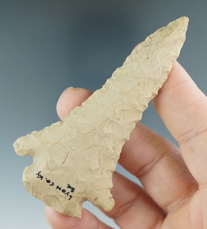 3 5/16" Pine Tree found in Lyon County Kentucky. Ex. Henry English collection.