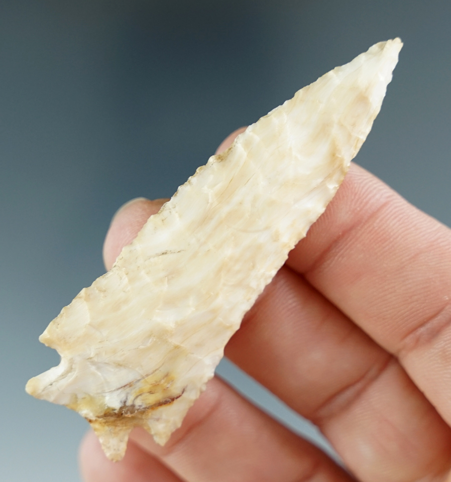 2 11/16" Snake River Dart Point - Opalized Petrified Wood. Found near the Snake River, WA.