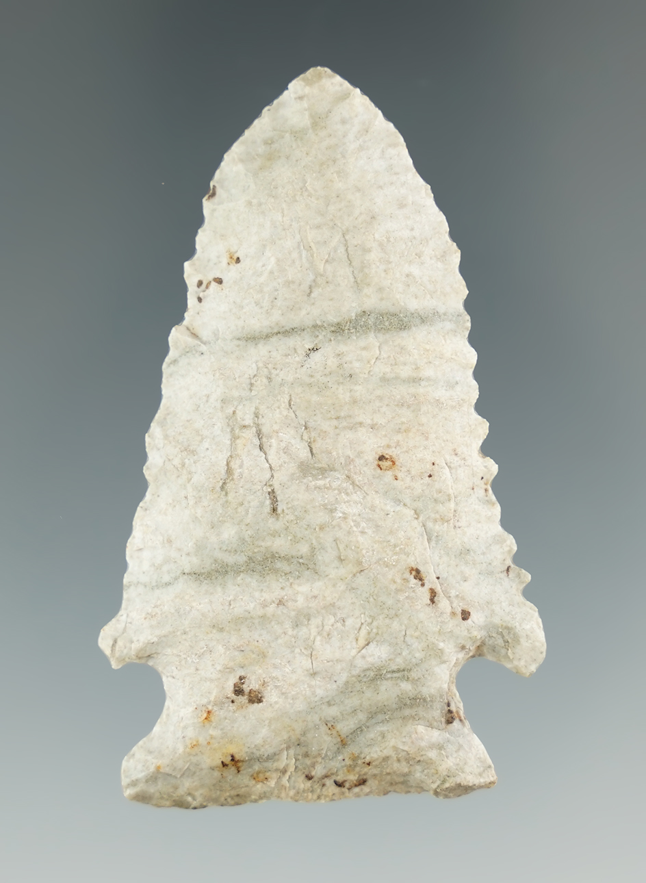 2 5/16" Pine Tree point with nice mineral deposits on surface made from attractive Attica chert.