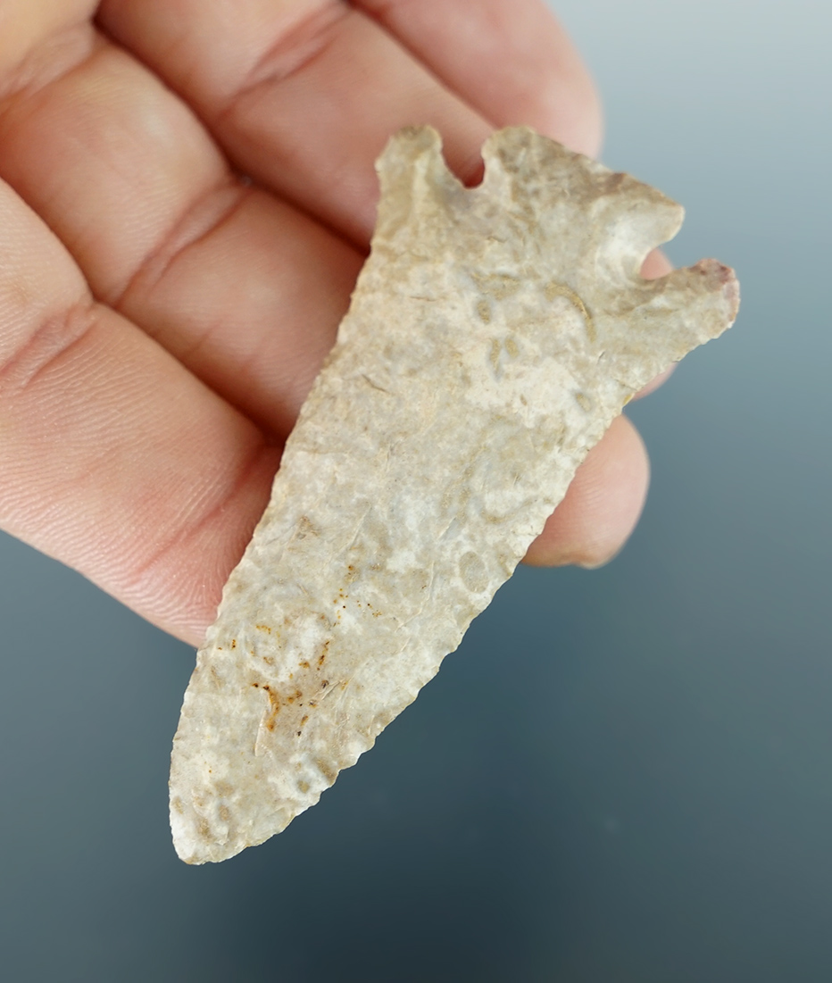 2 9/16" nicely styled Cornernotch knife found in Kentucky. Ex. Henry English collection.