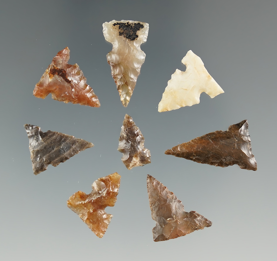 Set of 8 nice Columbia River Gem points, largest is 13/16".