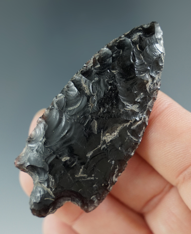 2 3/8" Gypsum Cave made from Obsidian, found near Silver Lake, Oregon. Ex. Jim Hogue.