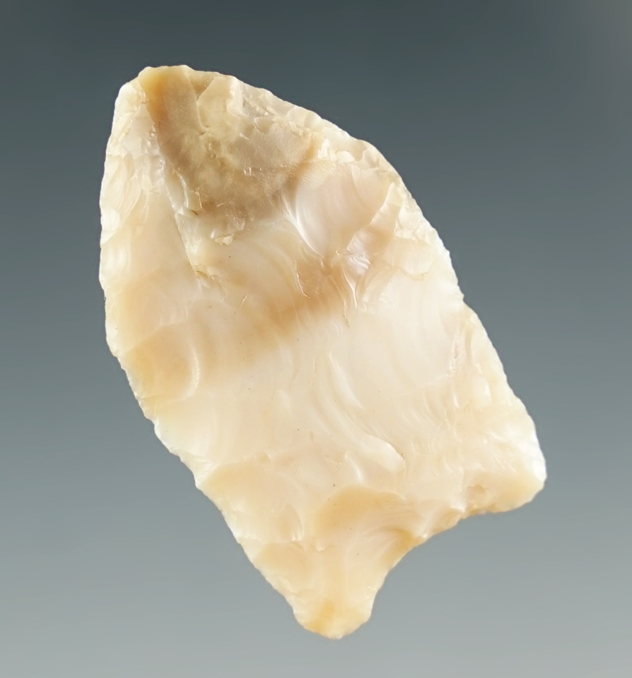 1 1/4" Paleo Spedis found in the Columbia River, Oregon. Comes with a Davis COA. Ex. Jim Hogue.