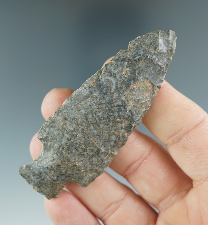 3" Tablerock point found in Humphreys County Tennessee.