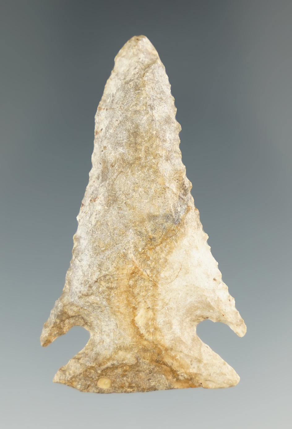 2 1/4" well flaked Pine Tree point found in Indiana.