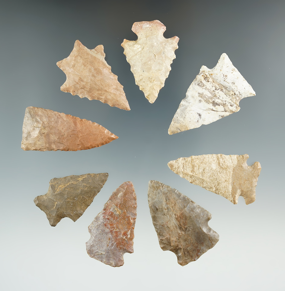 set of eight nice Kentucky arrowheads, largest is 1 15/16".