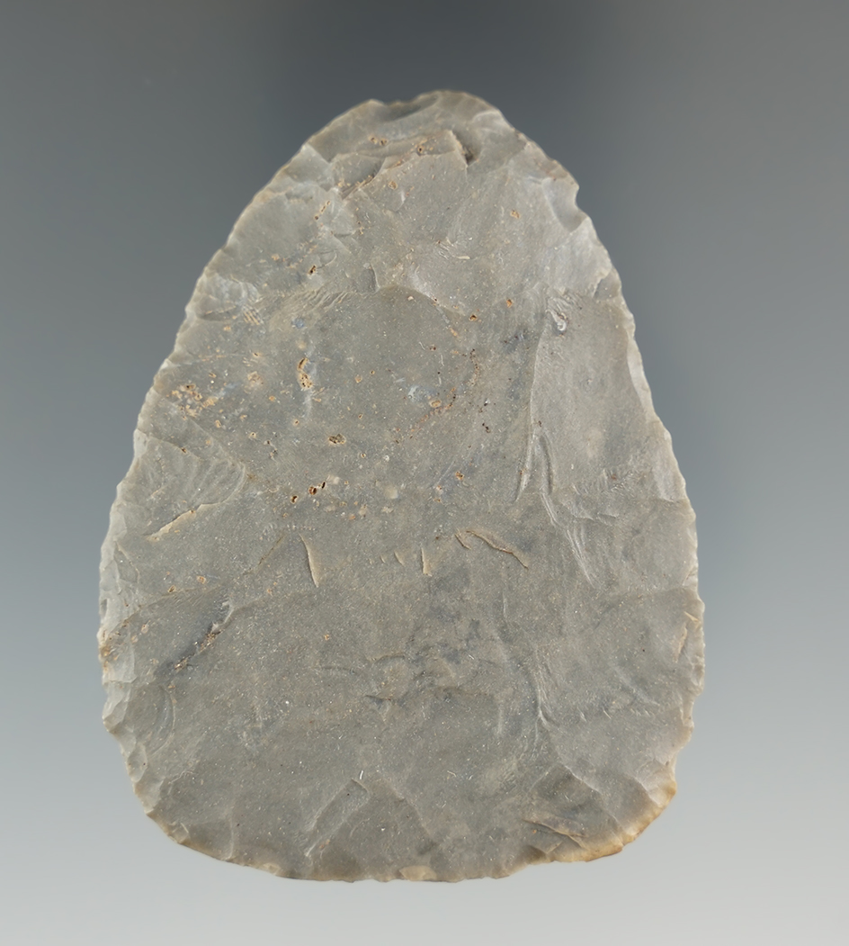 2 11/16" Hornstone Blade with nice flaking found in Indiana.