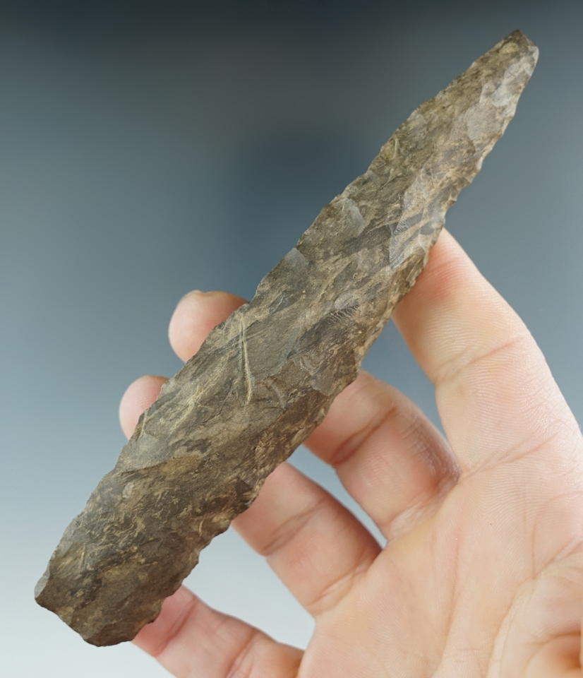 5 3/16" Dover Flint Lanceolate found in Western Kentucky. Ex. Tom Davis, Jim Hogue collections.