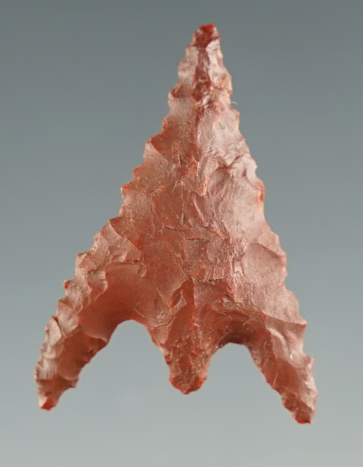 1" Gunter Barbed - red Jasper that is curved with serrated edges.  Rogue River, Oregon.