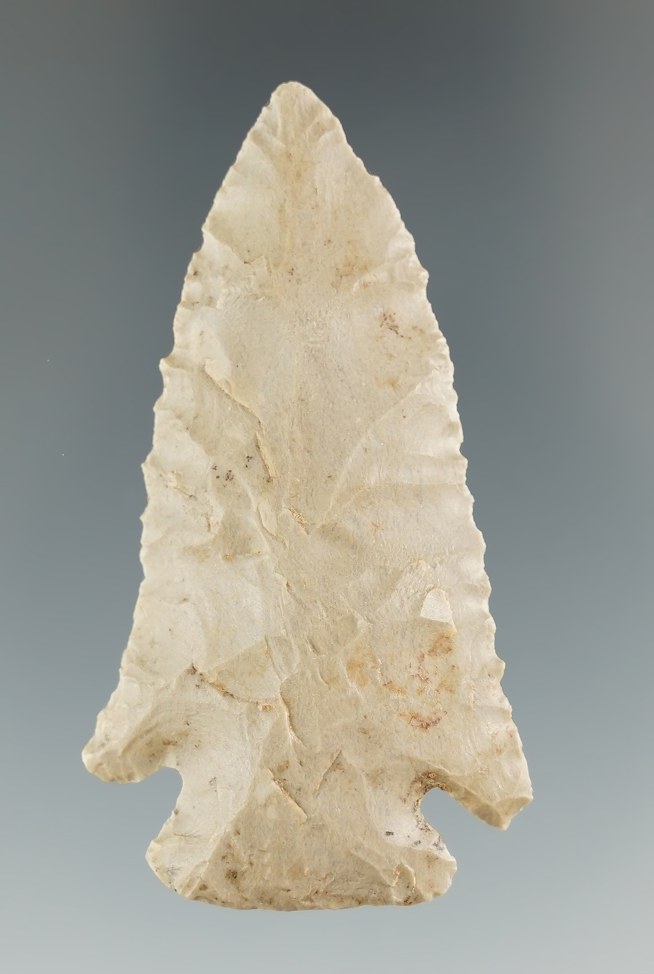 2 5/16" Pine Tree point found in Scott County Kentucky. Ex. Henry English collection.