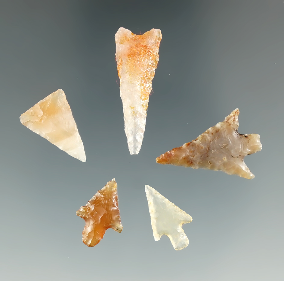 Group of five nice Columbia River Gem points made from high-quality materials. Largest is 1 3/16".
