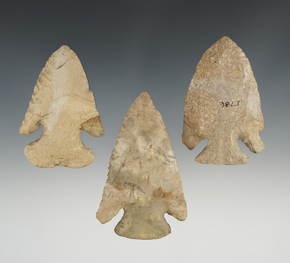 Three restored Archaic Bevels from Ohio. Largest is 3".