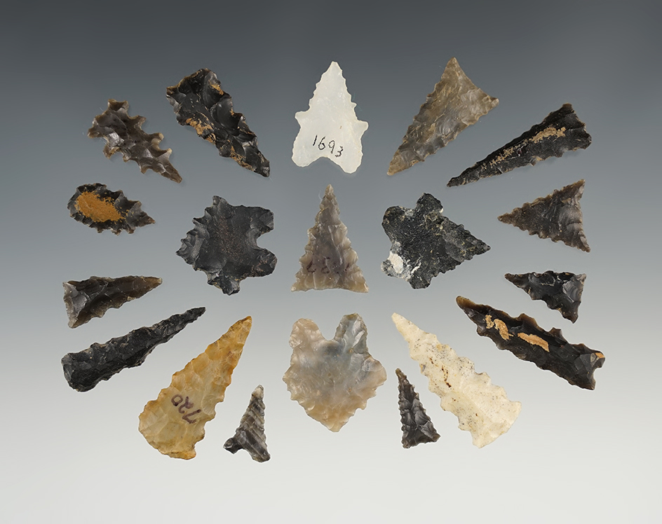 Set of 19 serrated points found in the Midwest. The largest is 1 5/16".