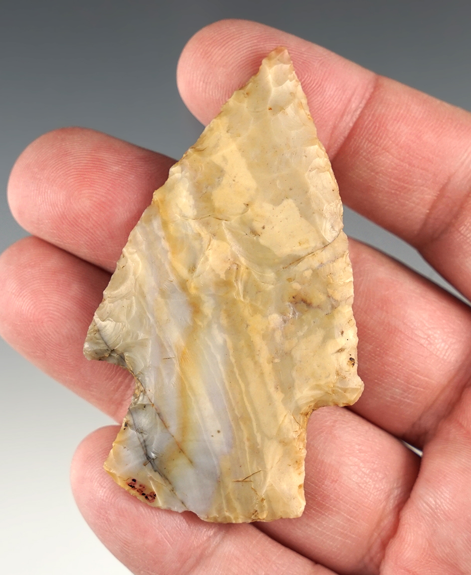 Colorful and nicely made 2 3/4" Hopewell point found in Pickaway Co., Ohio. Ex. Sauer collection.