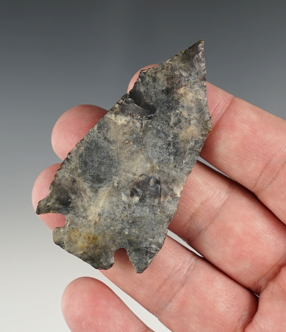 2 3/4" Pentagonal. Classic example. Found at the south end of Parkwood Ave., Avon Lake, Ohio.