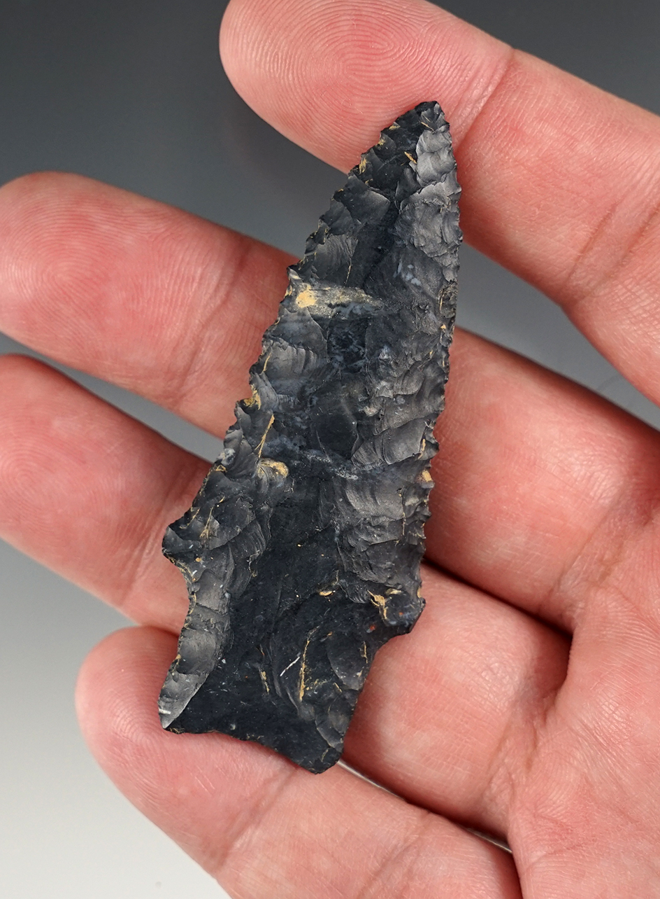 2 3/4" Heavy Duty. Serrated with great chipping. Found in Wayne Co., Ohio. Ex. Hooks.