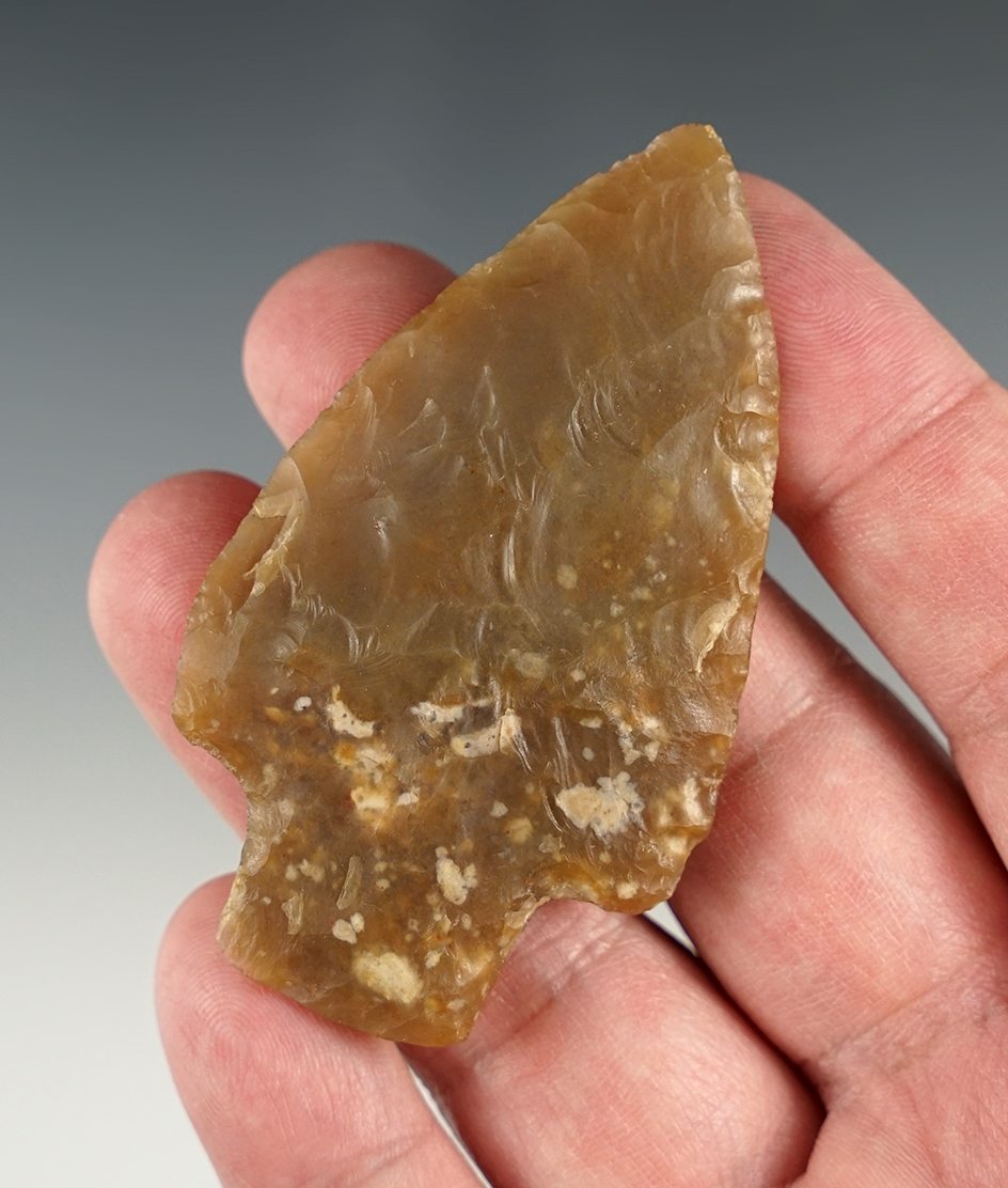 2 3/4" Adena Translucent Flint Ridge -t Buckeye Lake in Licking Co., Ohio. Ex. Homer Frush.