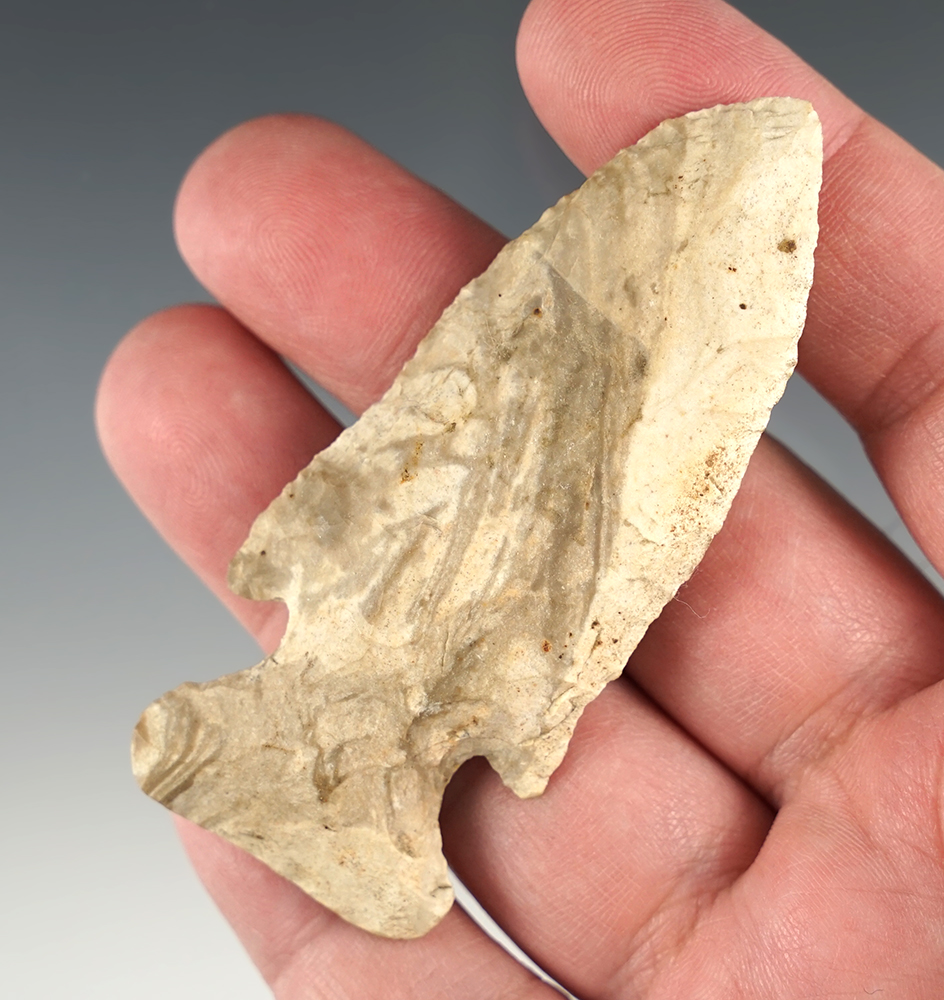 Well Styled 3 1/8" Thebes found in the Midwestern U.S.