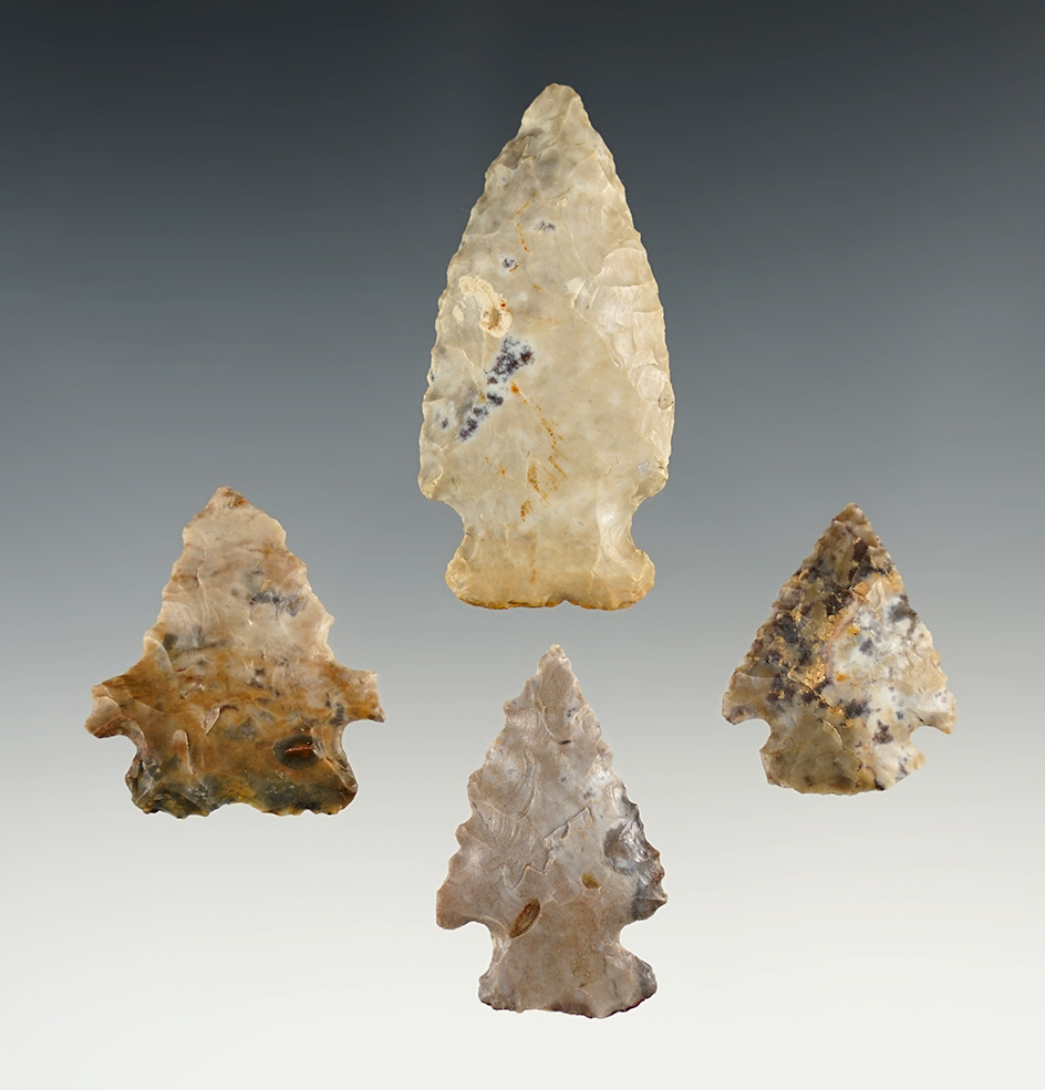 Four colorful Pipe Creek Points, largest is 2". Found in Huron and Richland Counties, Ohio.