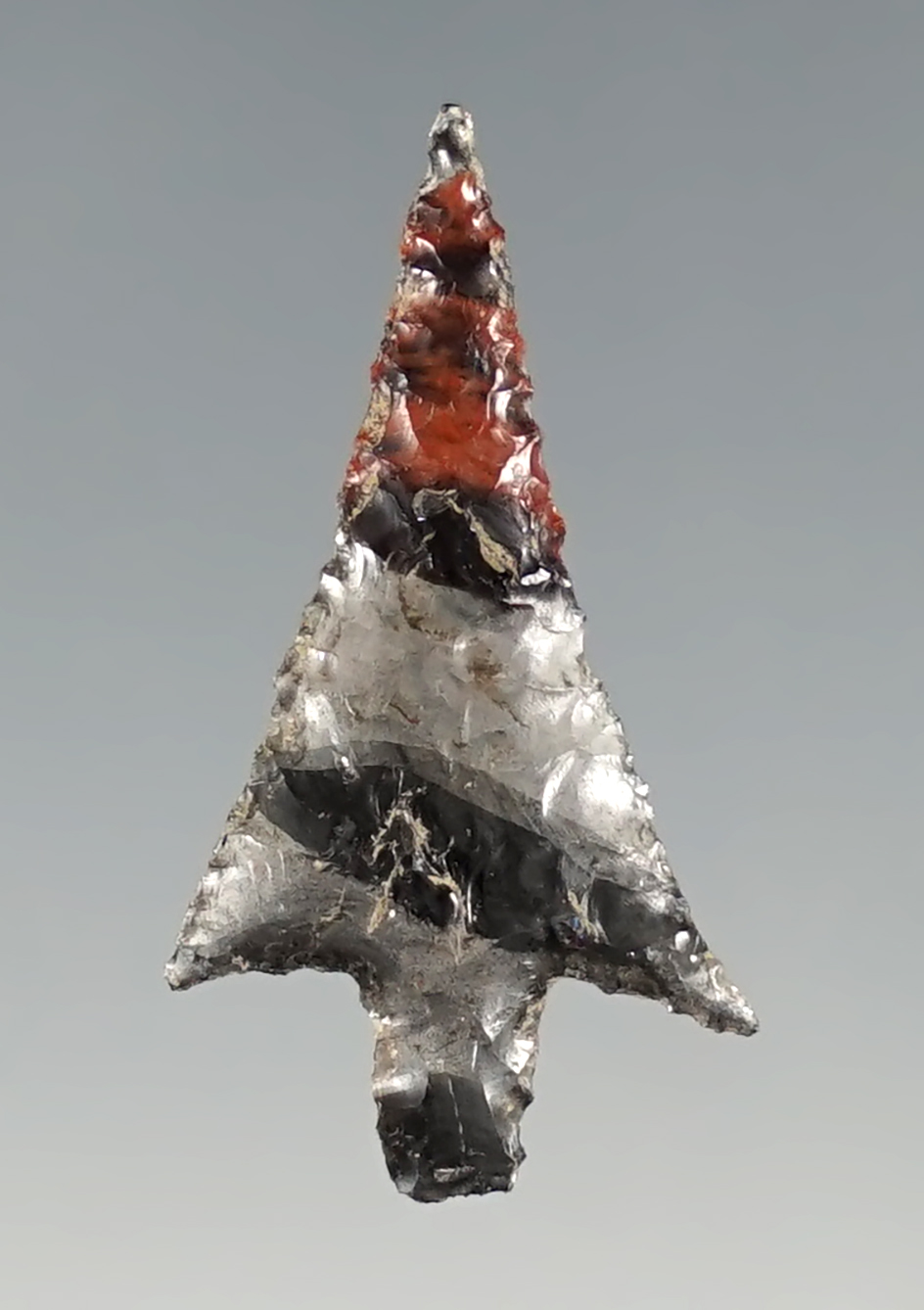 Exceptional 1" Wallula with outstanding flaking and style - Triple Flow Obsidian.