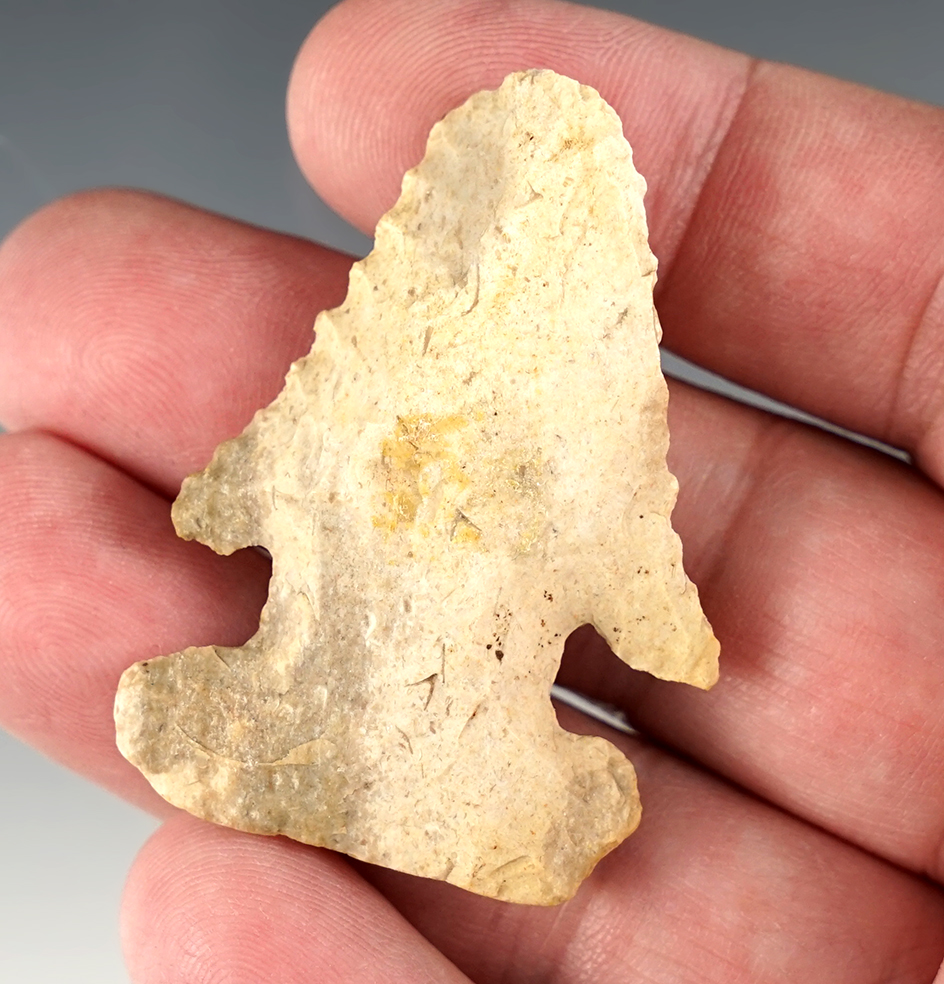 Nicely made 2" Thebes point found by G.W. Armann on June 6th 1971 in Belmont Co., Ohio.