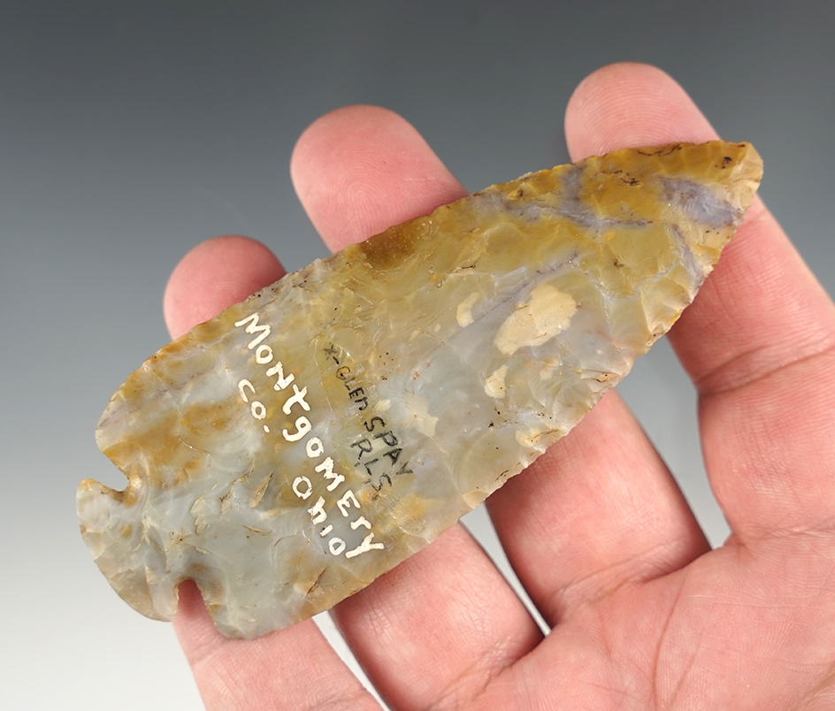 Superb! 4 1/16" Colorful Flint Ridge Dovetail - Montgomery Co., Ohio. Minor restoration. Ex. Spray.