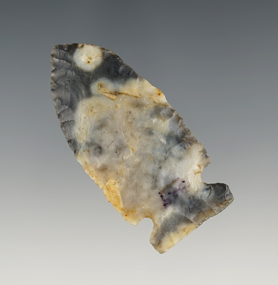 Exceptionally well made 2 1/4" Side Notch. Made from beautiful cream & gray Flint Ridge flint.