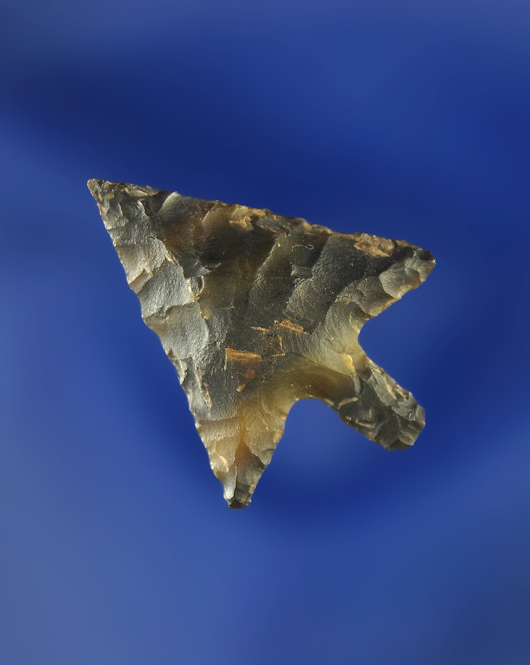 Excellent style and flaking on this 7/8" Wallula.