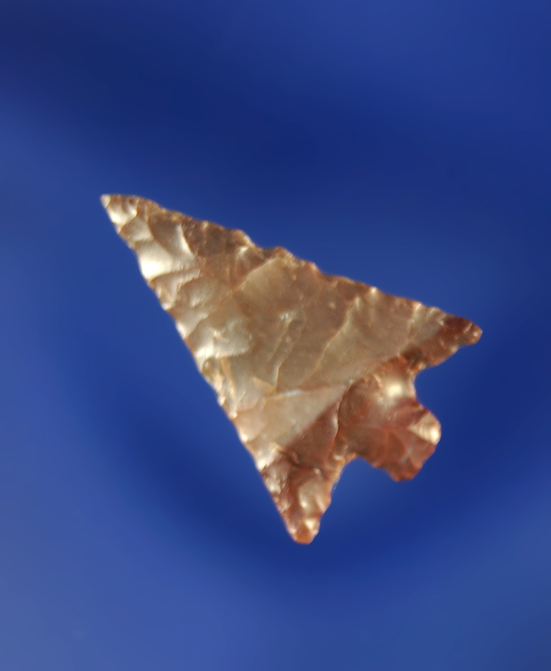 11/16"Columbia Plateau  made from attractive bi-colored Jasper.