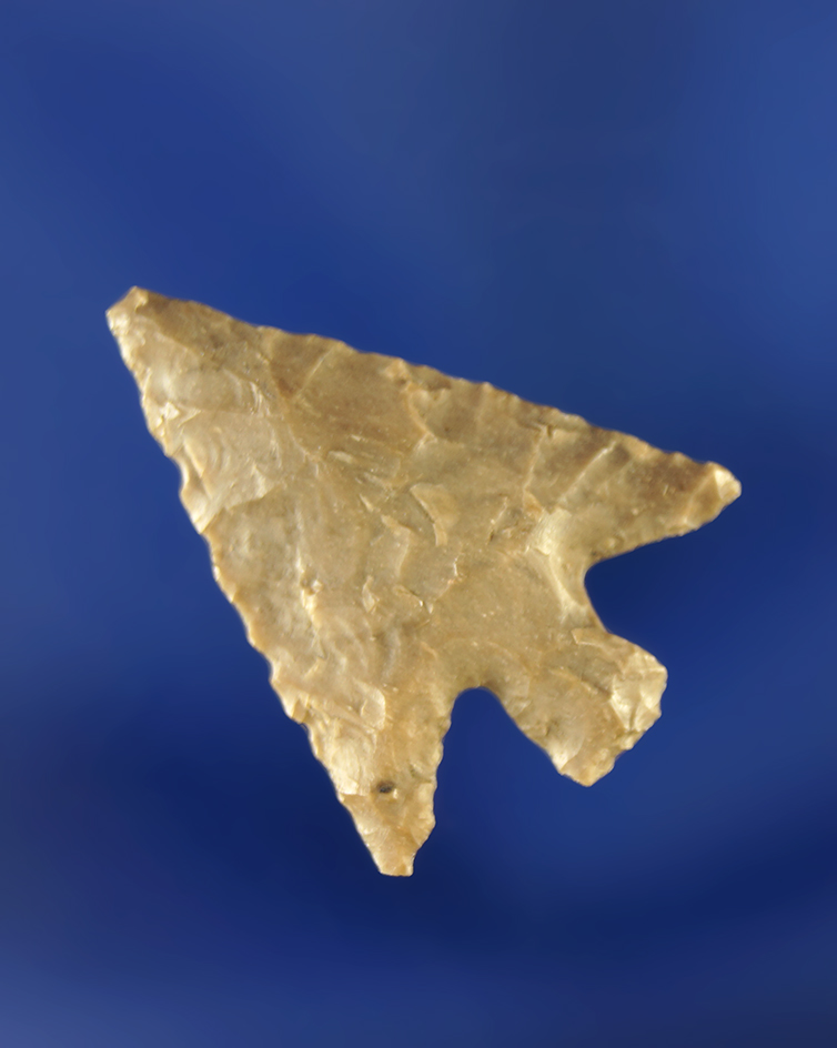 13/16" well styled Columbia Plateau in excellent condition.